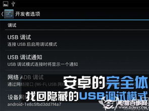 USB調(diào)試不見了怎么辦？電腦圖文設(shè)計找回隱藏的USB調(diào)試模式指南